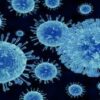 What You Need to Know About Norovirus: Publisher's Platform