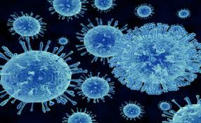 What You Need to Know About Norovirus: Publisher's Platform